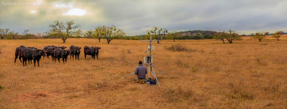 Todd Caldwell checking one of the sensors in the Texas Soil Moisture Observation Network. 
